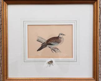 British Bird Etchings by The Rev. F. O. Morris -- 3 Available (2 Pictured): Rock Dove, Turtle Dove, Bunting. Each Measures 16" x 14" Overall. Photo 1 of 3. 