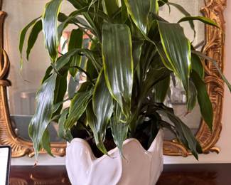 Glazed Ceramic Tulip Shaped Planter & Plant. Photo 1 of 2. 