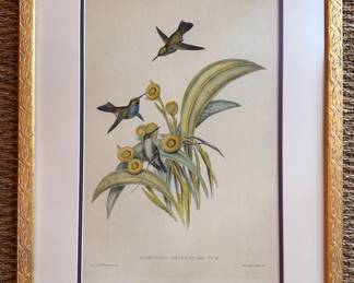 J Gould & H. C. Richter Chromolithograph. Measures 26" x 32" Overall.  Photo 1 of 2. 