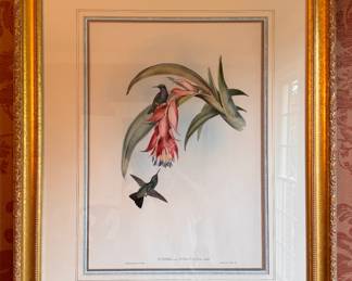 J Gould & H. C. Richter Chromolithograph. Measures 26" x 32" Overall.  Photo 1 of 3.