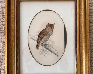 Antique Owl Etching. Measures 9" x 11" Overall. 