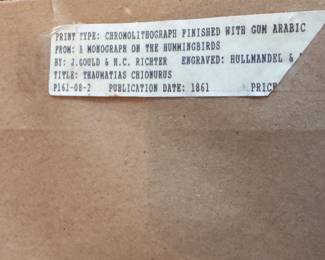 J Gould & H. C. Richter Chromolithograph. Measures 26" x 32" Overall.  Photo 3 of 3.