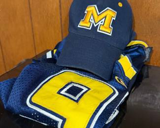 University of Michigan Wolverines Fan Apparel