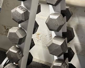 Fitness weight set