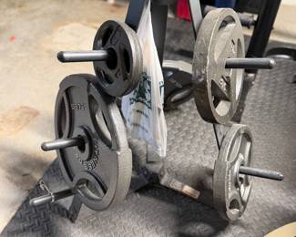 Physical fitness weights
