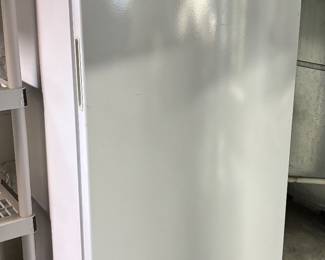 Upright freezer
