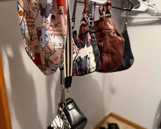Novelty purses