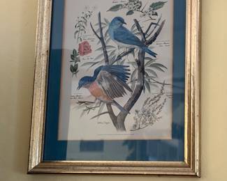 Avian bird elegant wall art