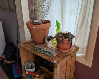 plants