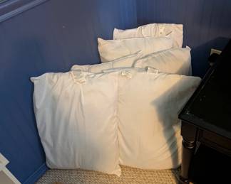 Bed Pillows