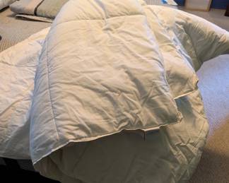 Liz Claiborne Comforter