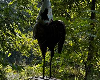 Over 5 foot tall, large metal rooster