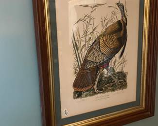 #65 print of great American cock male wild turkey 22x28 $75.00