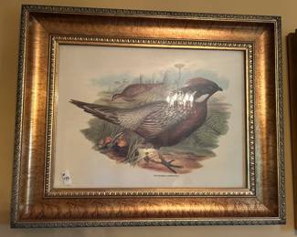 #133 print of Puraslacartanea in gold frame 31x25 $75.00
