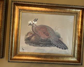#134 print of Purasana Darwin 2 birds in gold frame 31x25 $75.00