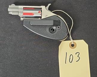 North American Arms .22 Magnum MiniRevolver with Folding Holster Grip