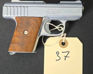 Raven Arms Model P-25 Pistol with Holster