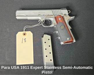 Para USA 1911 Expert Stainless Semi Automatic Pistol