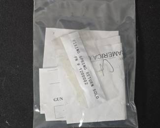 Kimber Solo Firing Pin Return Spring Assembly