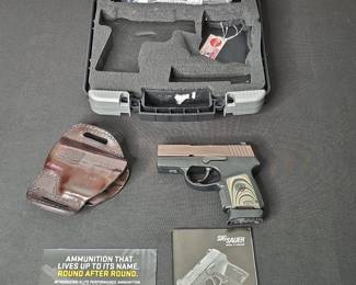 Sig Sauer P290RS Subcompact Pistol