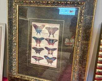 . . . vintage butterfly print