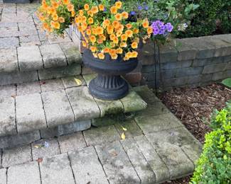 . . . cement planter