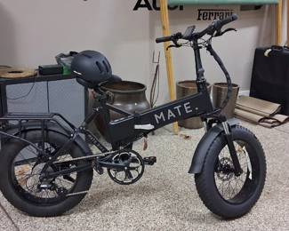 Mate E-bike needs battery