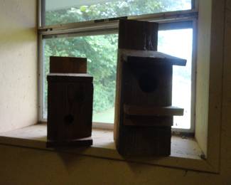 Bird and Owl Box