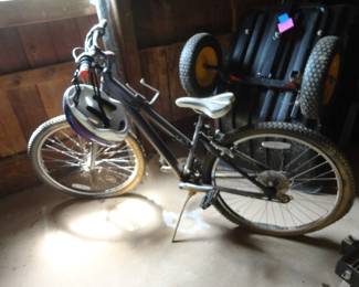 13" TREK Bike