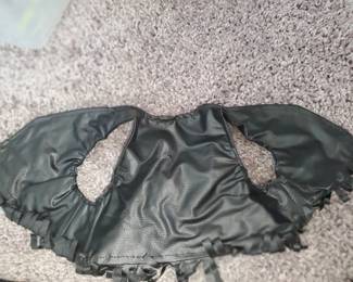 Harley-Davidson Pet item?
