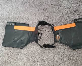 Harley-Davidson Pet item?