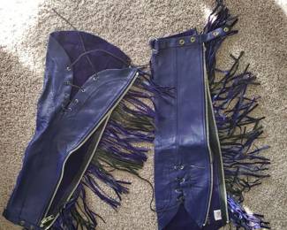 Ladies royal blue riding chaps