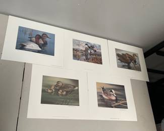 Lot 10207: Arizona Waterfowl Stamp Prints 1993-1997, Signed Set of 5