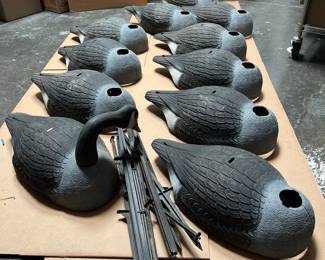 Lot 10188: Canada Goose Shell Decoys, Dozen-Plus Lot with Stakes