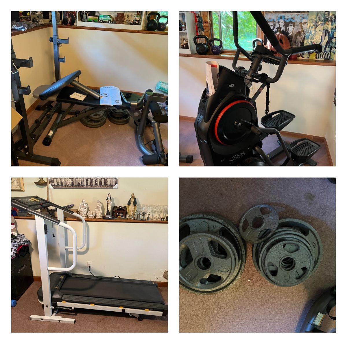 Complete weight set, treadmill (free!), Bowflex MaxTrainer M3