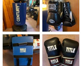 Century freestanding bag, Reyes sparring gloves, Title bag gloves, Title kicking shield 