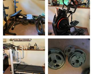 Complete weight set, treadmill (free!), Bowflex MaxTrainer M3