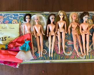 Dawn dolls and case