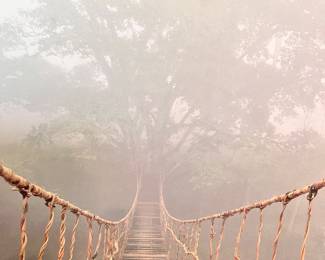 Welcome to the jungle 