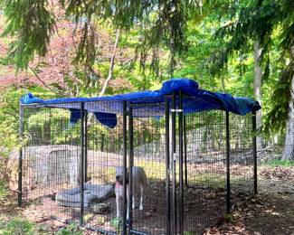 available now dog pen