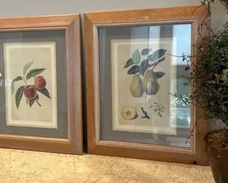 Fruit Framed Art with Topiary