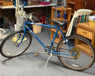 Schwinn bike