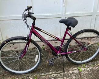 Sierra Quest 15Speed Mountain Bike