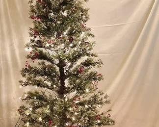 Christmas Tree Lot