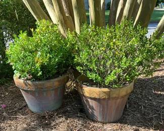 Ceramic Flower Pots