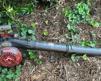 Craftsman Leafblower