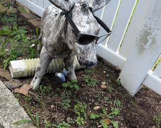 Cool myopic Italian donkey (HEAVY)