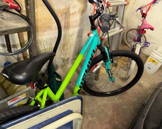 Nishiki Pueblo women's mountain bike