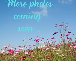 More photos coming soon