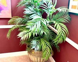 Silk plants